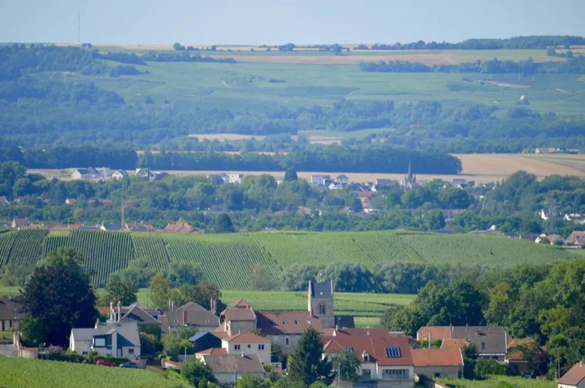 Agreable Maison Petit Jardin A 7 Minutes De Reims Pargny-les-Reims Kültér fotó