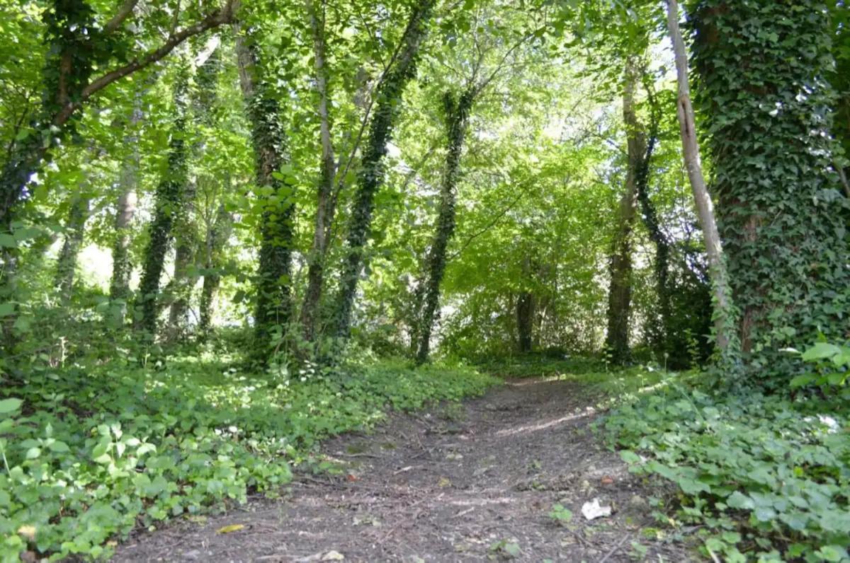 Agreable Maison Petit Jardin A 7 Minutes De Reims Pargny-les-Reims Kültér fotó