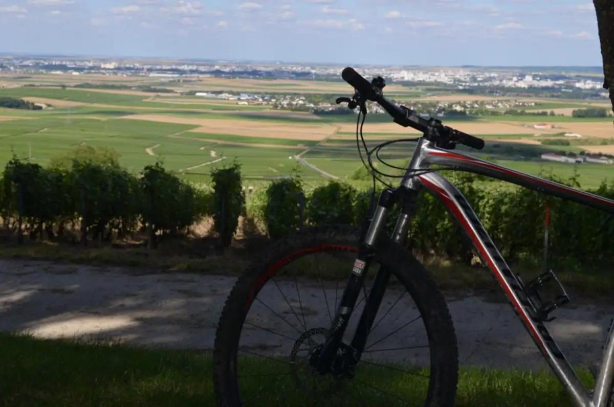 Agreable Maison Petit Jardin A 7 Minutes De Reims Pargny-les-Reims Kültér fotó